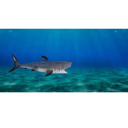 Grandes Juguetes De Dinosaurios Jurassic Tiburon 
