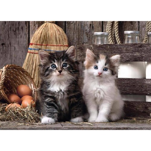 Gatitos, Rompecabezas 1000 Piezas 
