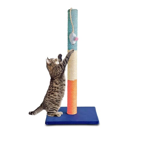 Golden King | Poste Rascador para Gatos 1 Metro de Alto Juguetes para Gatos. 