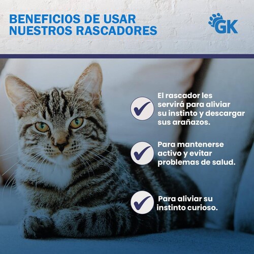 Golden King | Poste Rascador para Gatos 1 Metro de Alto Juguetes para Gatos. 
