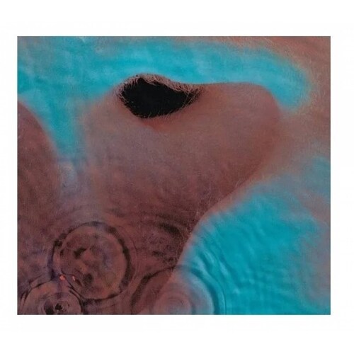 Pink Floyd Meddle Disco Cd.