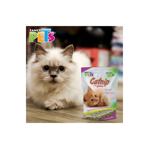 Fancy pets catnip para gatos 28 gr