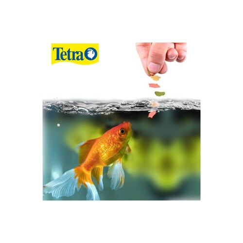 Tetra tetrafin goldfish flakes 200 gr