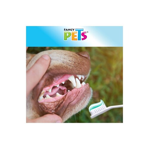 Fancy pets kit dental 90 gr