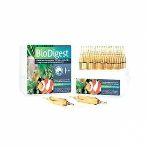 Bacteria prodibio biodigest ampolletas 10 ampolletas  .