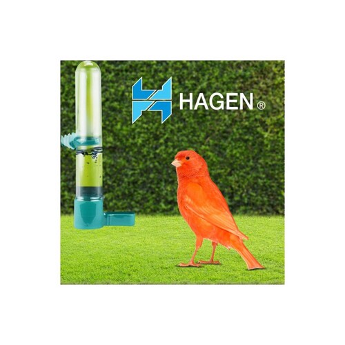 Bebedero para ave chico hagen 