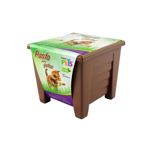 Pasto para gatos fancy pets