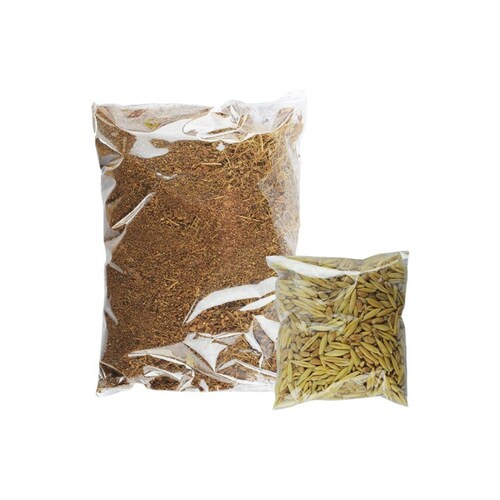 Pasto para gatos fancy pets