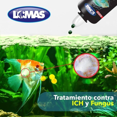 Verde Plus 30 Ml. Contra Ich Y Fungus Y hongos peceras 