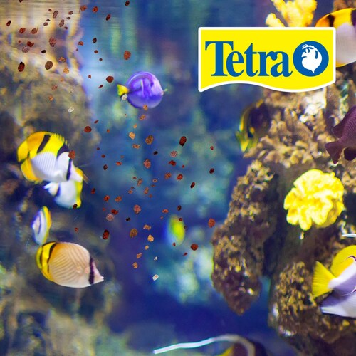 Alimento Tetracolor Tropical granules 75G discos y ramirezzi 