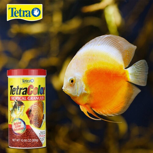 Alimento Tetracolor Tropical granules 300g Discos ramirezzi 