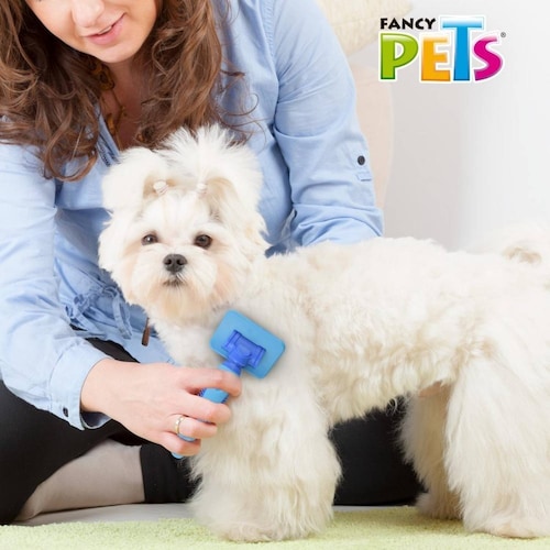 Fancy Pets Carda Para Perros acero inoxidable Tamaño Chico 