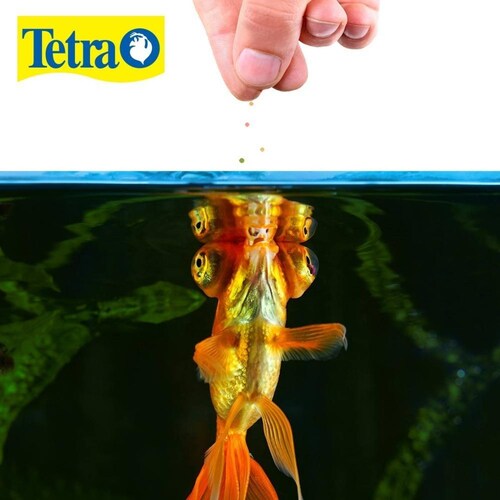 Alimento para peces Tetrafin Goldfish japoneses Pellets 53 Gr 