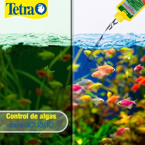 Acondicionador Tetra Algaecontrol 50Ml reduce agua verde alga 