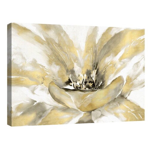 Cuadros Decorativos - Concerto Luxe