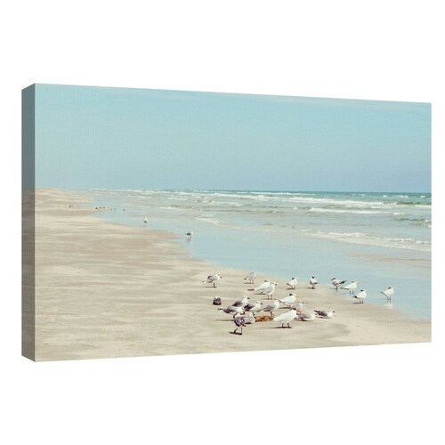 Cuadros Decorativos - Aves costeras de la isla del padre de Danita Delimont