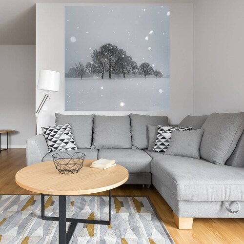 Cuadro Decorativo - Árboles en la nieve - Andre Eichman - 122X122 cm - Arte Abstracto - Impresión en Lienzo - Fine Art TJ