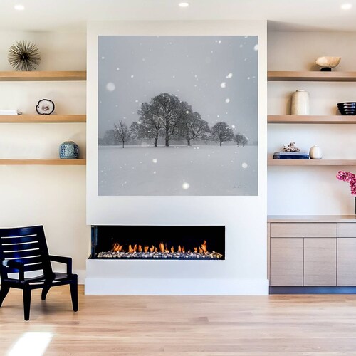 Cuadro Decorativo - Árboles en la nieve - Andre Eichman - 122X122 cm - Arte Abstracto - Impresión en Lienzo - Fine Art TJ