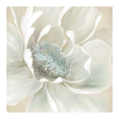 Cuadro Decorativo | Flores de Invierno I | Carol Robinson | 56X56 Cm | Arte Floral | Impresión en Lienzo | Fine Art TJ