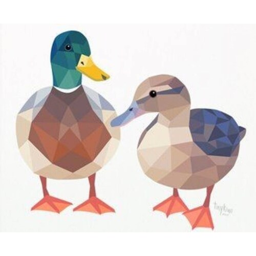 Patos Pinta por numero con bastidor incluido