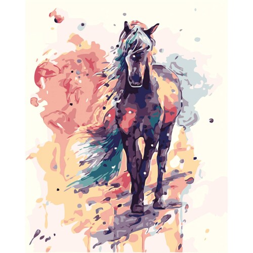 Caballo colores Pinta por numero con bastidor incluido