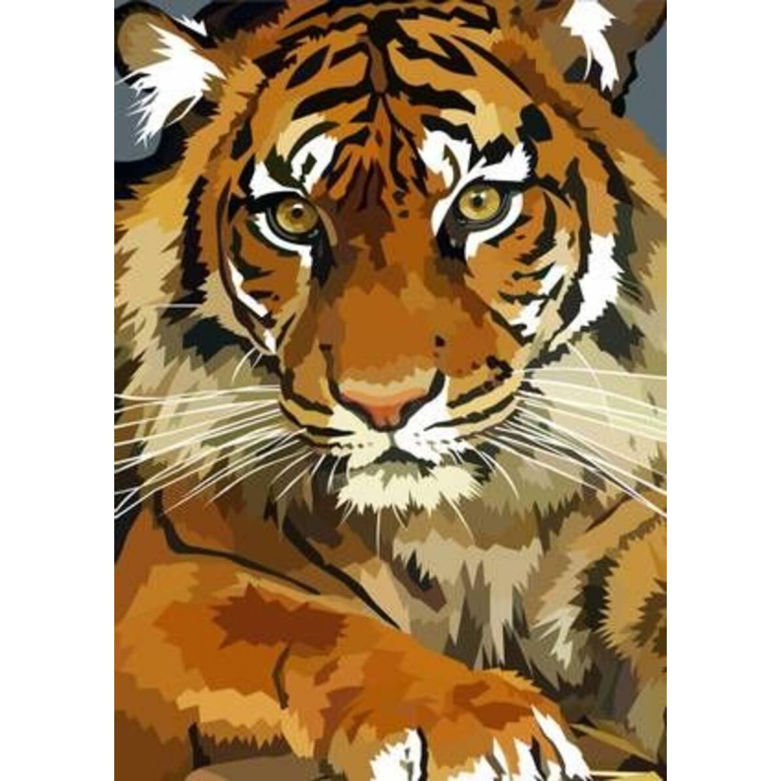 Tigre Pinta por numero con bastidor incluido