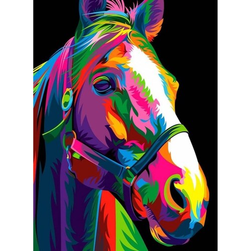 Caballo Colores Pinta por numero con bastidor incluido