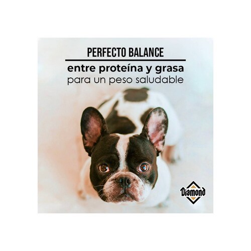 DIAMOND - MAINTENANCE DOG 4.4 LBS (2 KG)