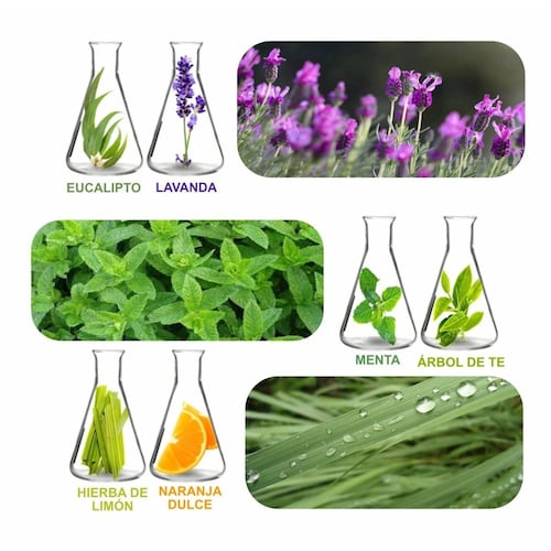 Difusor De Aromas Aromaterapia Wifi + 6 Aceites Esenciales