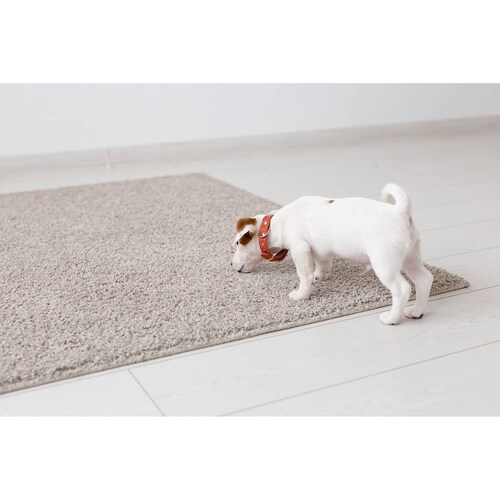 Tapete Entrenador para Perros Rápida absorción Almohadillas