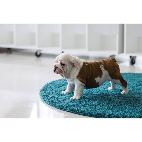 Tapete Entrenador para Perros Rápida absorción Almohadillas