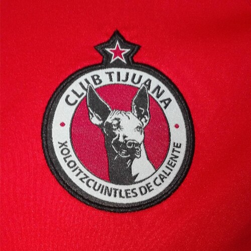 Sudadera Charly Xolos PULLOVER Hombre 20/21