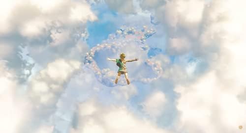 THE LEGEND OF ZELDA TEARS OF THE KINGDOM.