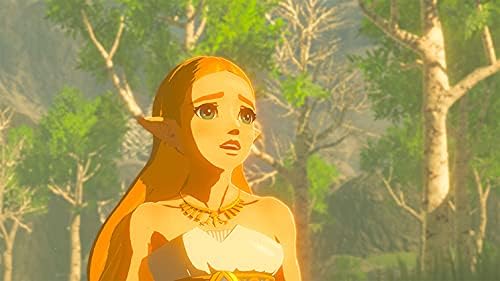 THE LEGEND OF ZELDA BREATH OF THE WILD.