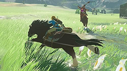 THE LEGEND OF ZELDA BREATH OF THE WILD.