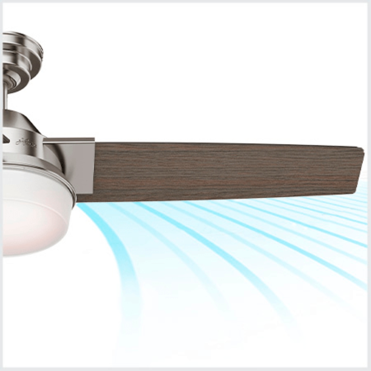 Ventilador de Techo Hunter 50042 52" 3 Aspas C/Luz Herus Niquel Cepillado END/ALBY10.