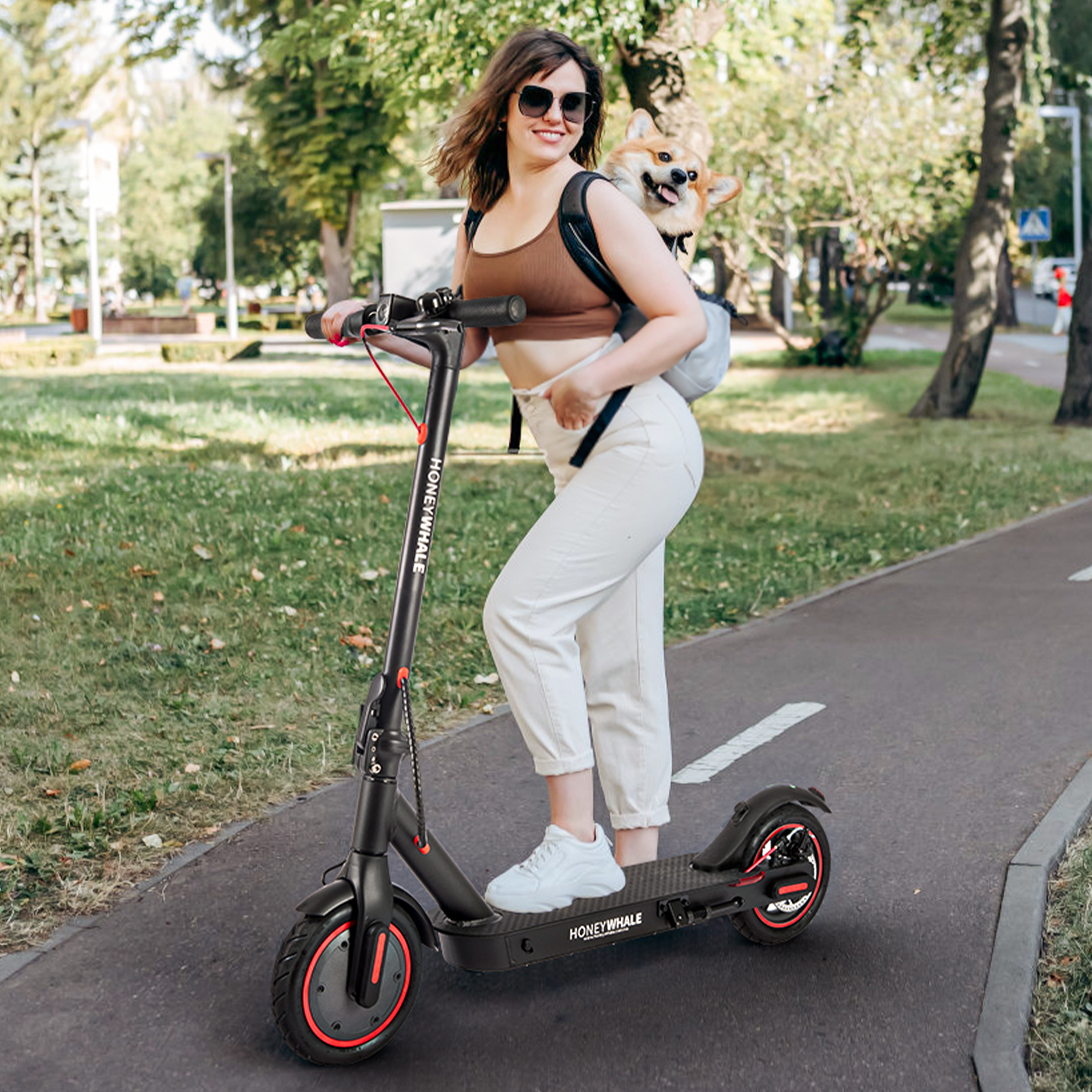 Scooter Eléctrico Honey Whale E9 Pro V2 Negro.