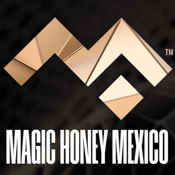 MAGIC HONEY 24 SACHETS MUJER