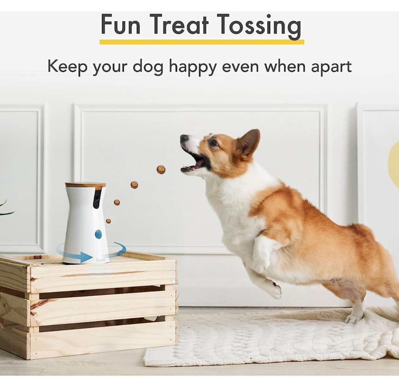 Furbo Dog Camara Wifi Mascotas Con Funciones Interactivas Color Blanco
