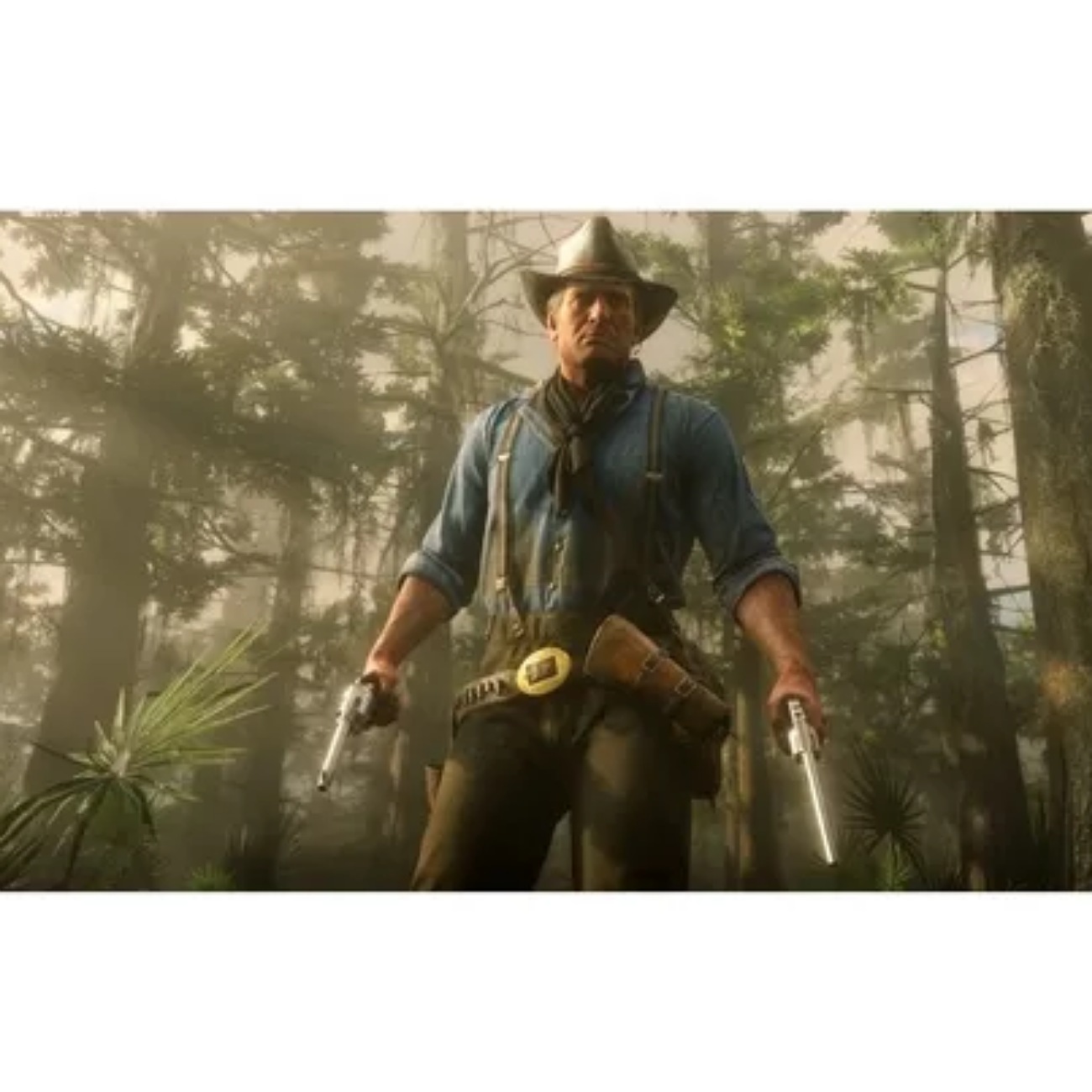 Red Dead Redemption 2 Standard Edition Rockstar Games PS4 Físico.