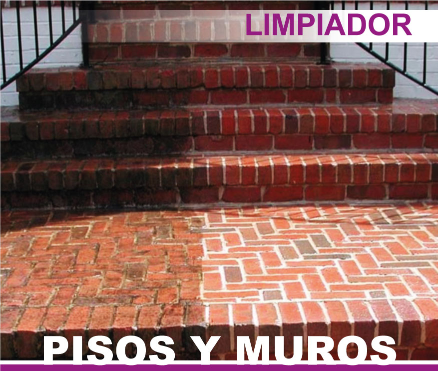 Limpiador de Pisos y Muros, Quita Cemento, Cal, Salitre 1L