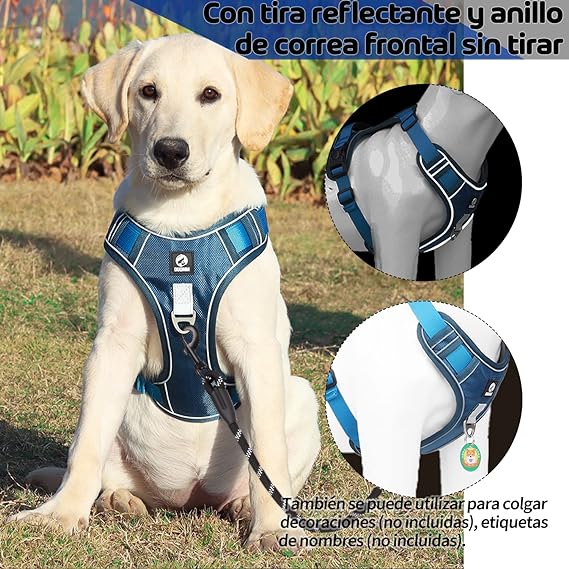MESVIER Arnés para Perro Mediano Grande Pequeño con Correa 1.5m, Pechera para Perro Ajustable Reflectante Transpirable, Arneses para Perro Sin Tirones para Caminar Viajar Entrenar Perros Accesorios.