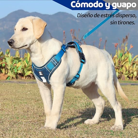 MESVIER Arnés para Perro Mediano Grande Pequeño con Correa 1.5m, Pechera para Perro Ajustable Reflectante Transpirable, Arneses para Perro Sin Tirones para Caminar Viajar Entrenar Perros Accesorios.
