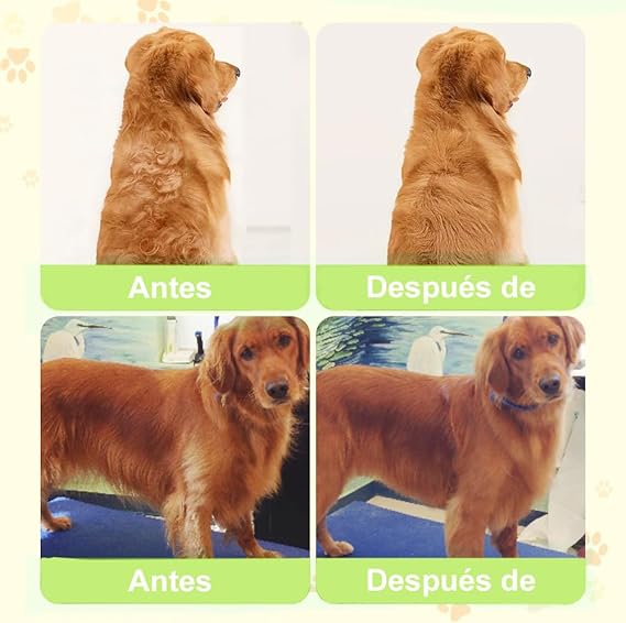 Cepillo Vapor eléctrico para perro, Cepillo de gato de vapor auto limpieza, Cepillo vapor para mascotas para masaje, Cepillos de Aseo para Mascotas, Para depilación, masaje y peinado de mascotas..