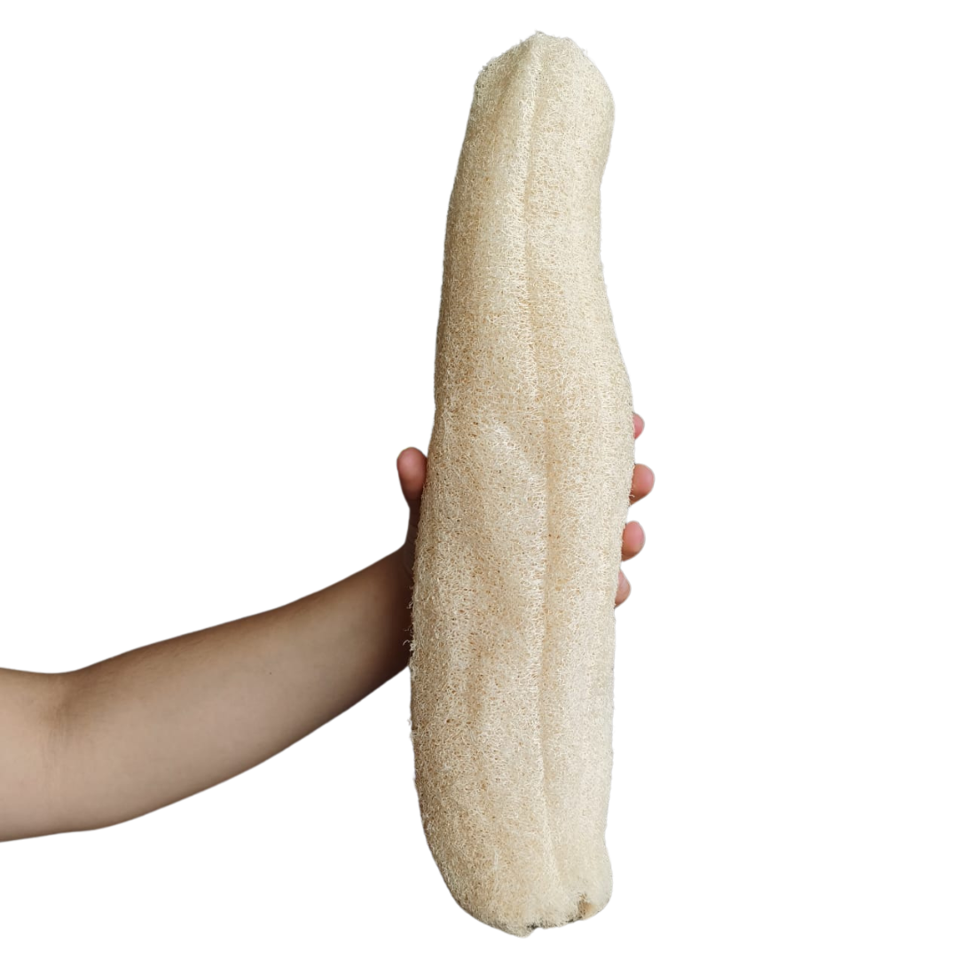 Esponja Zacate Natural 1 pieza Exfoliante Loofah Biodegradable Shory Beauty