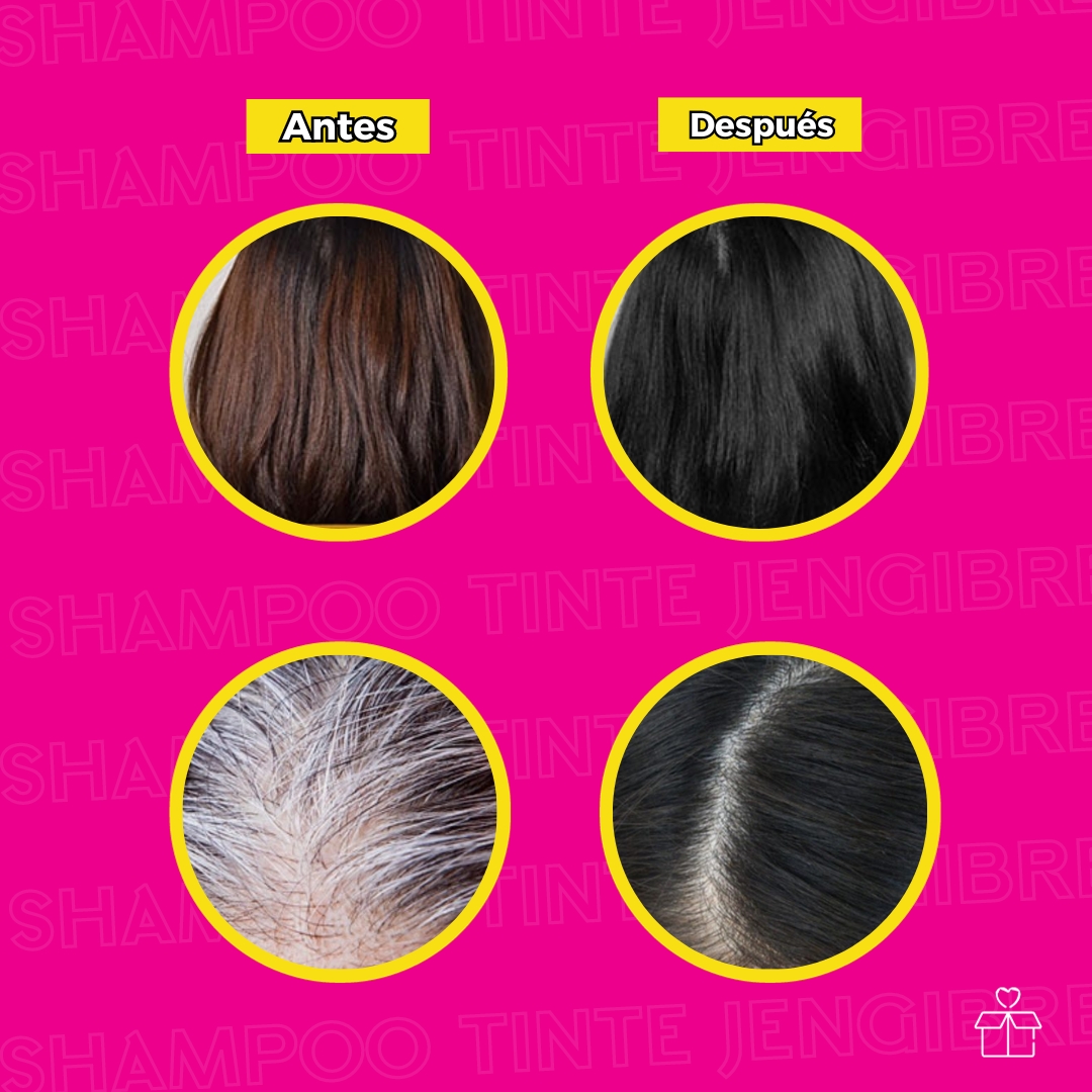 10 Shampoo Tinte Instantaneo Jengibre Café Oscuro.