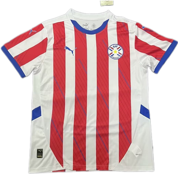 Nuevo! Jersey Paraguay Copa America 2024 Titular Local Talla S.