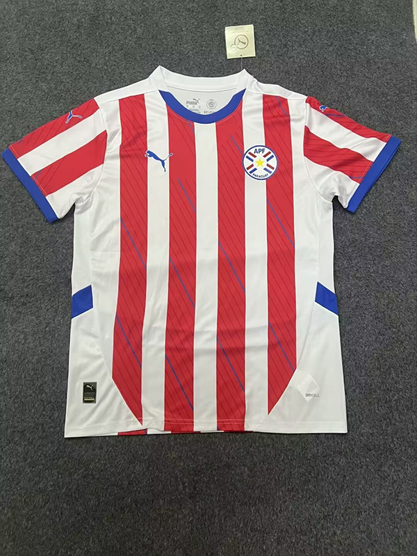 Nuevo! Jersey Paraguay Copa America 2024 Titular Local Talla S.
