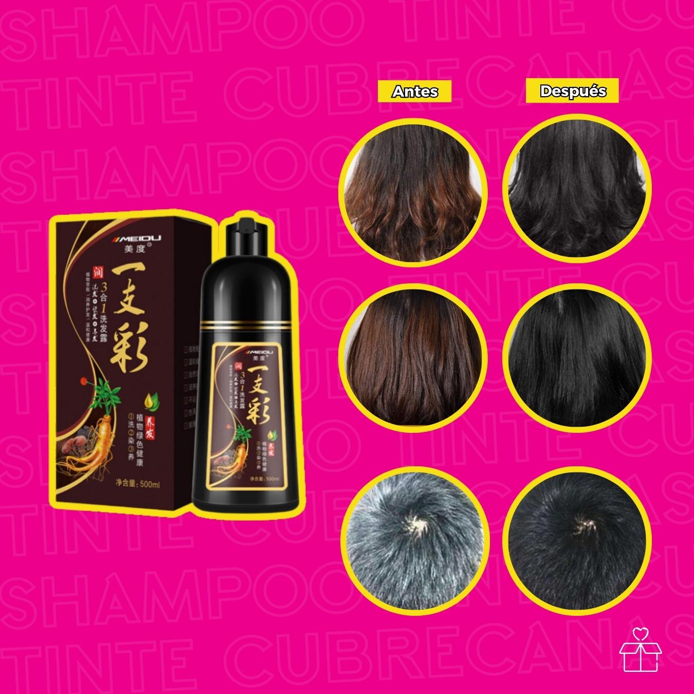 Shampoo Tinte Instantaneo Cubre Canas Natural Jengibre 500ml Purpura.
