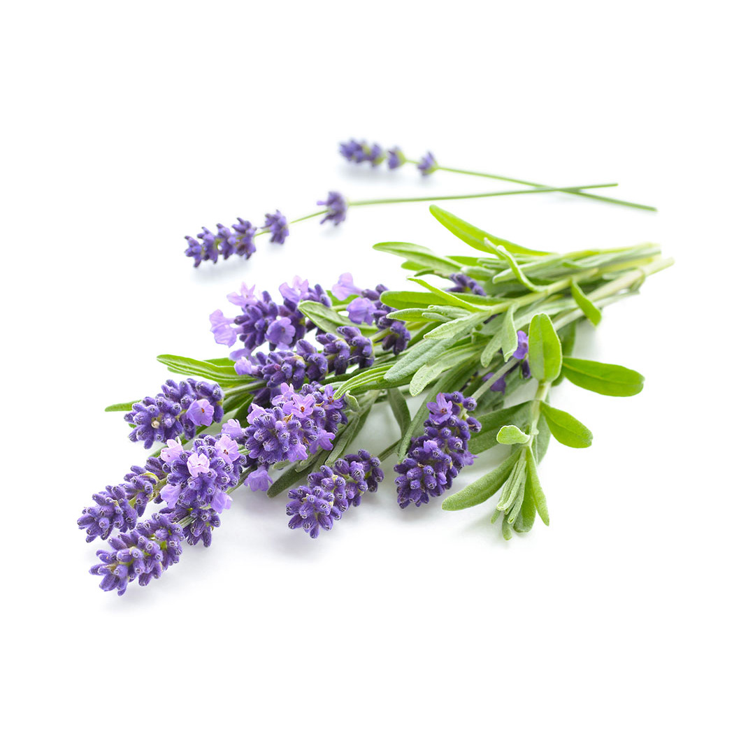 Esencia Ambiental Lavanda Varitas 80ml Sheló